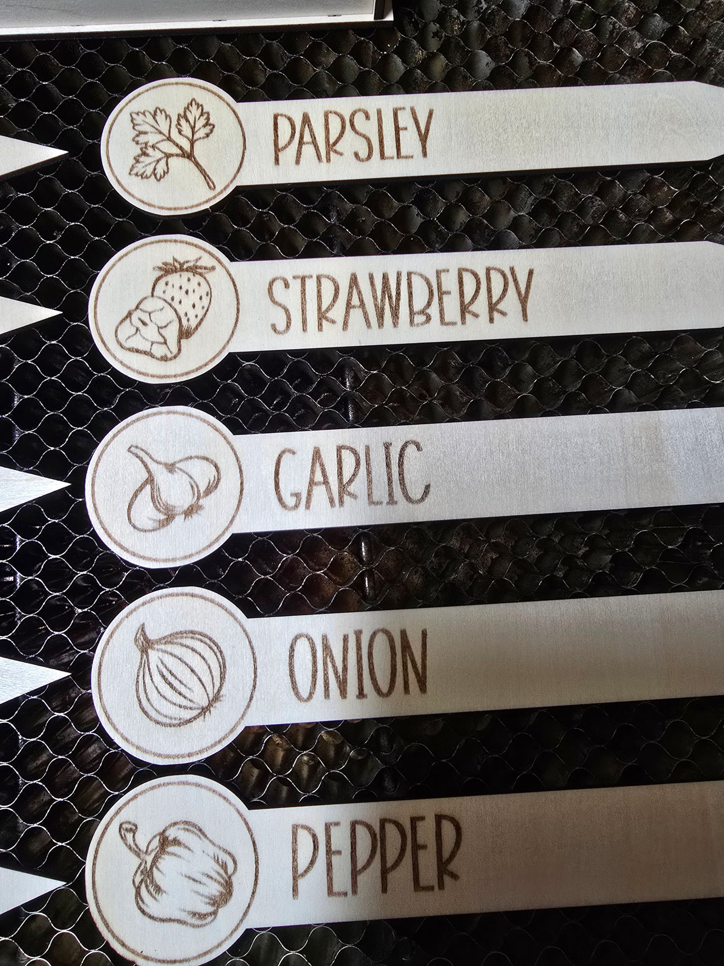 Garden Wooden Labels and Box