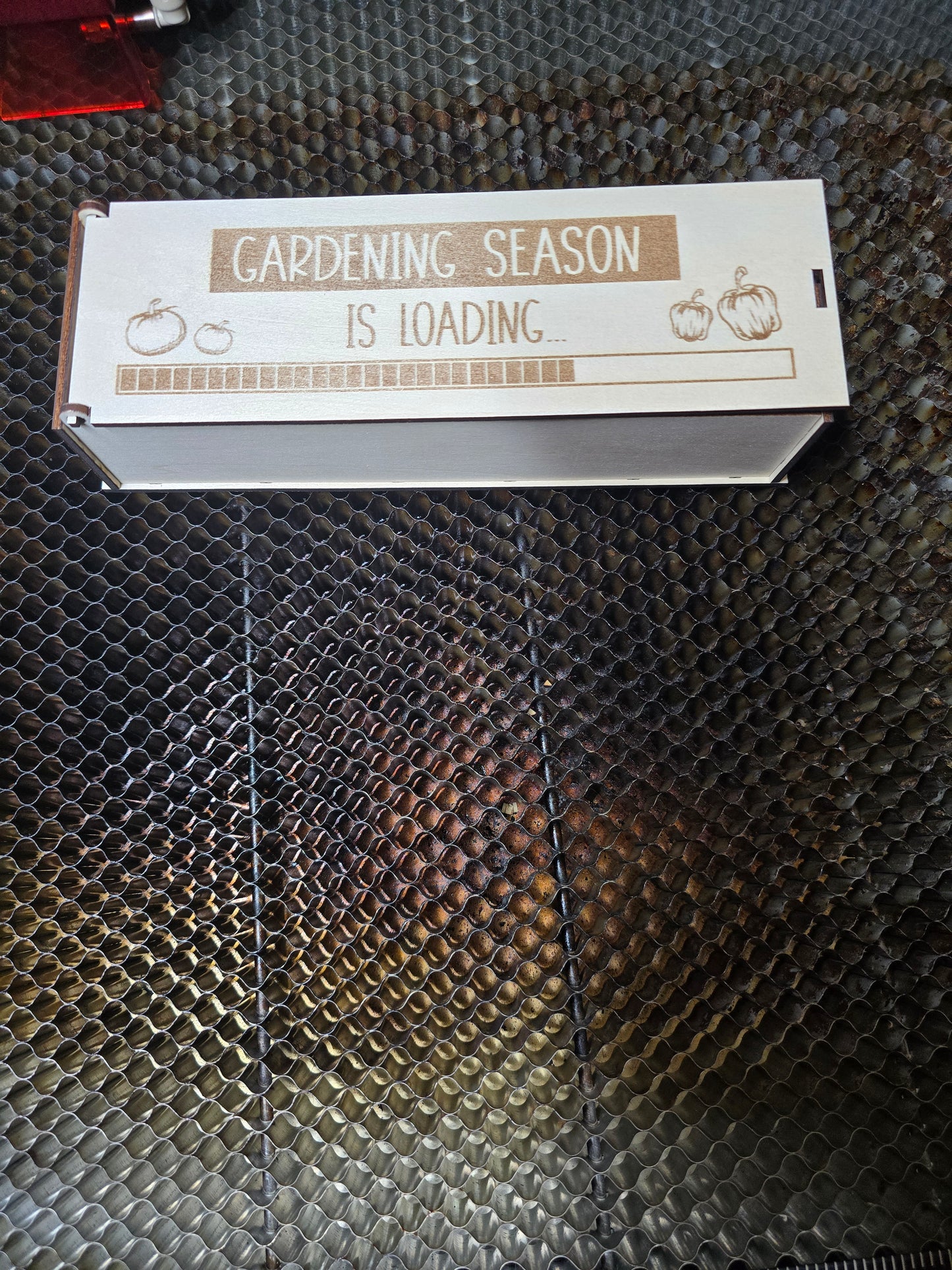 Garden Wooden Labels and Box